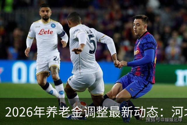 2026年养老金调整最新动态：河北退休人员需关注